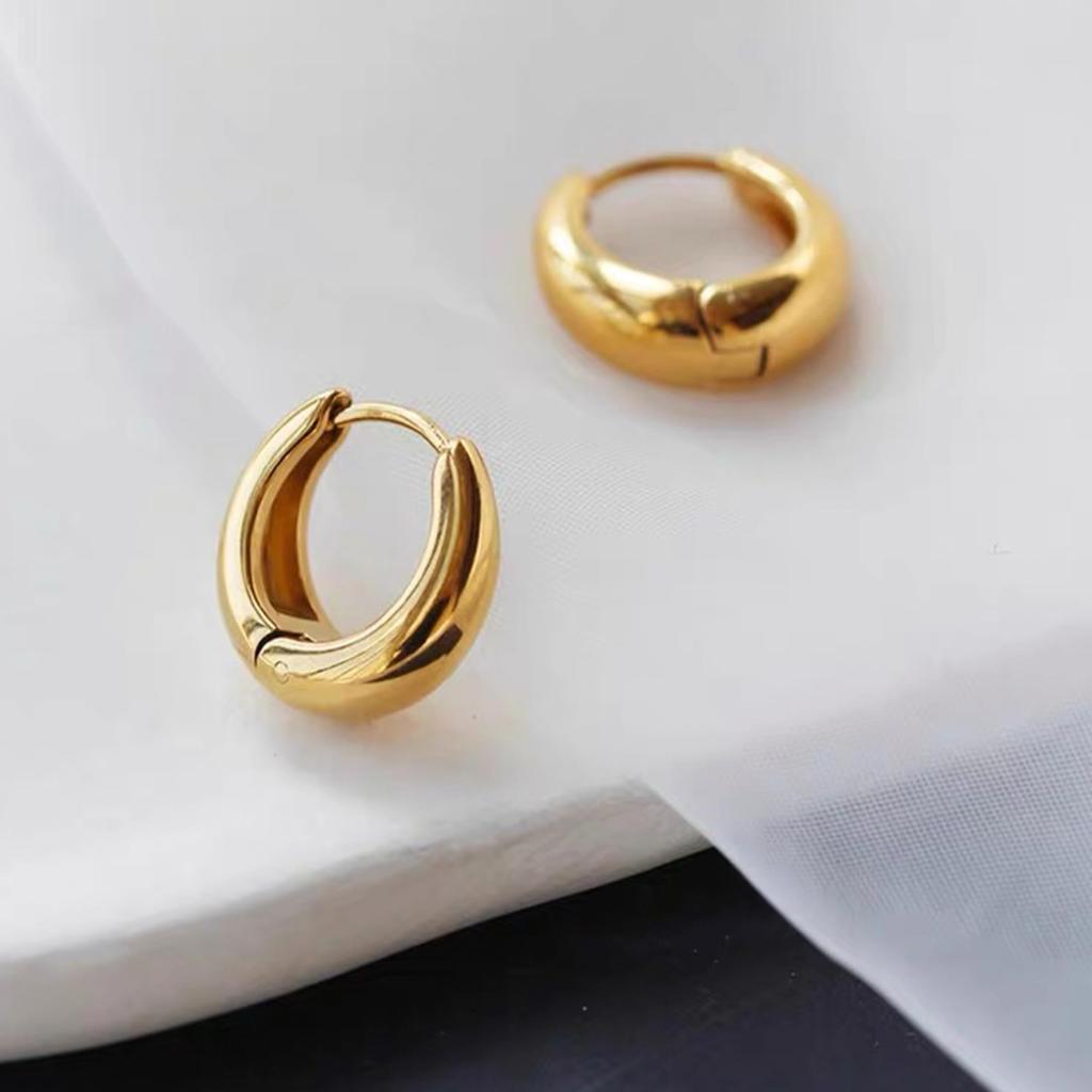 Hoop Surgical Stainless Ring Perfect As a Gift for People In Their and 40s FH.bird Earrings, Non-stop, Steel, Hypoallergenic, Earrings, Women's, Gold,