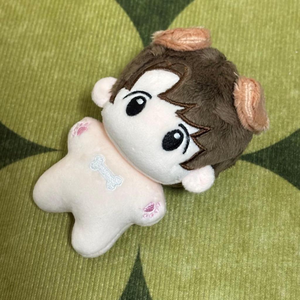 [USED] ENHYPEN Jake Plush Toy, 10cm