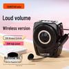 Amplificatore vocale portatile wireless Takstar E8W spina CN (adattatore incluso)