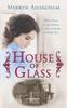 The House of Glass : A Time Travel Mystery Romance Book
