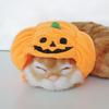 Pumpkin Hat Dog Cat Halloween Costume
