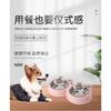 Frog Double Pet Food Bowl For Cat Dog With Stainless Steel Inner Silicone