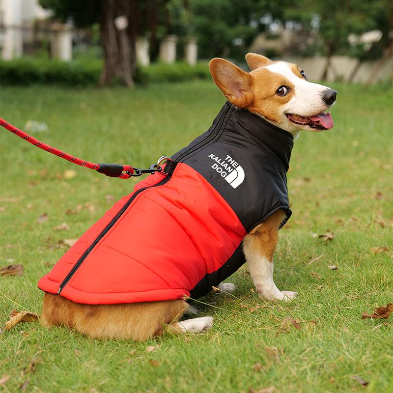 L-7XL Invierno Impermeable Cálido Chaqueta Corgi Cálida Chaqueta para Perro Perro Mediano Perro Grande Labrador Ropa para Salir en Invierno