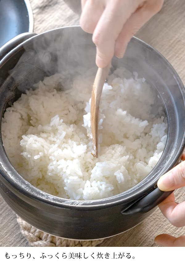 Banko Ware Earthenware Pot "Exquisite Rice Pot" 3-cup capacity (serves 1-2 people)