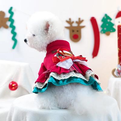 Bekleidung & Schuhe – Hundekleider