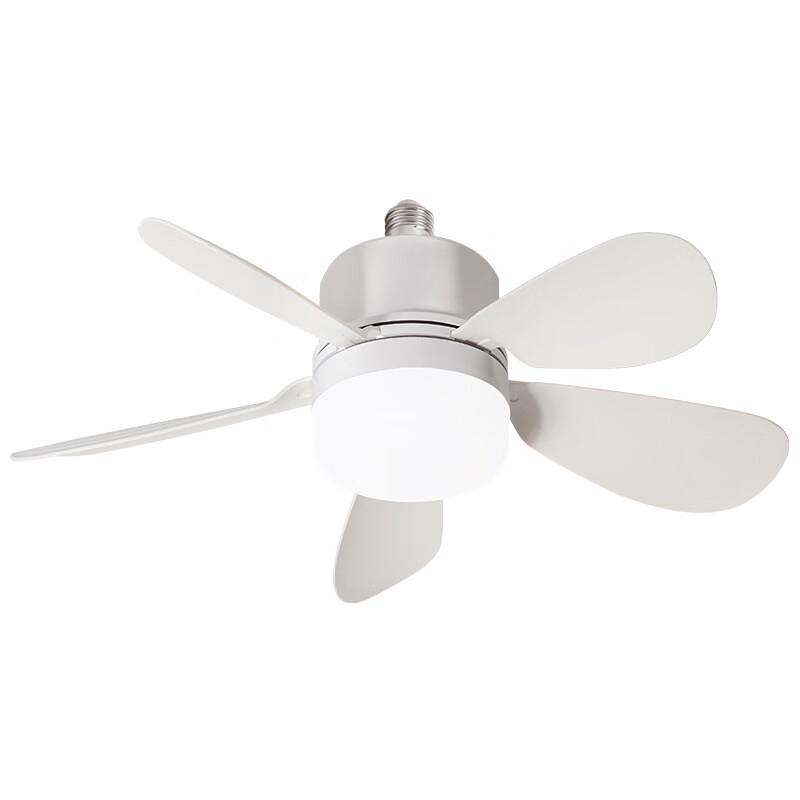 Oeny 5-Blade Minimalist Ceiling Fan with Light