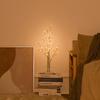 White Birch LED Tree Lights with Remote - Indoor/Outdoor Decorative Lighting