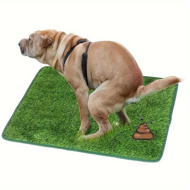 Tappetino da Addestramento per Cani in Erba Sintetica Lavabile Definitivo, Tappetino Assorbente Riutilizzabile per Urina con Controllo Odori e Supporto Antiscivolo, Cuscino per Addestramento Prato per Animali Domestici Facile da Pulire