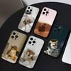 Cute S-Shiba I-Inu Phone Case For iPhone 17,16,15,14,13,12,11 Plus,Pro Max,XS,Soft Silicone Black Cover