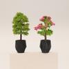 1/12 Scale Dollhouse Simulation Plant Potted Model Mini Home Decoration Micro Garden Landscape Ornaments for Dolls House