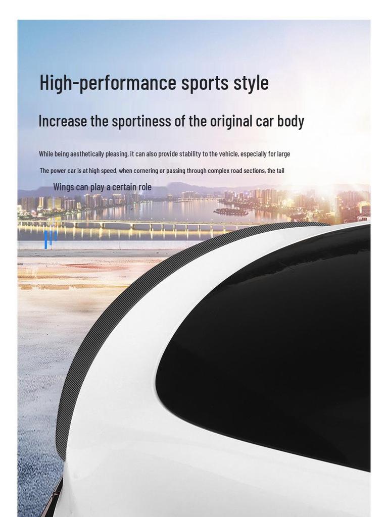 Tesla Model Y/3 Rear Wing: High-Performance Blow-Molded Spoiler for P Version