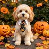 XDDOG Adjustable Cat & Dog Collar Bow Tie with Tape Buckle - Suitable for Small Pets, - Formal Necktie for Costume Accessories, for, Parties,