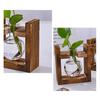 Plants Propagation Station with Wooden Stand Indoor Plant Terrarium Hydroponic Flower Holder Container Decoration Table Centerpiece