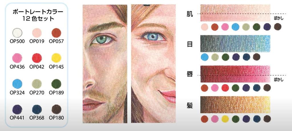 Colored Pencil Holbein Art ASTM D4236 Compliant Made in Japan NEW Artist Colored Pencil Tin Box Painting Portrait Color 12 Color Set Colored PORTRAIT