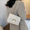 Xiaoxiangfeng Bag Women's Bag Internet Celebrity New Trendy Fashion Diamond Chain Bag Internet Celebrity Ins Shoulder Messenger Bag