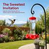 30Sets Bright Colors Bird Feeder Replacement Parts Durable Hanging Feeder Replacement  Garden Use