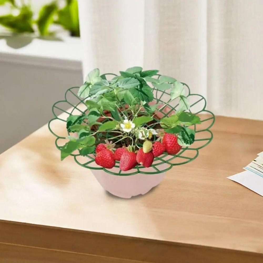 1/3Pcs Round Plant Tray Stand for Protecting Strawberries from Mold Rot and Dirt