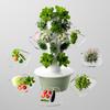 Hydroponic Growing System Indoor Outdoor Home Grow Herb Vertical Garden Tower Vegetable Planter Pot Kit DIY