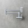 Brass Kitchen Wall Mounted Sink Faucet Rotary Folding Single Cold Faucet Single Hole Single Handle Vegetable Basin Tap
