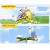Funny Perches Toy with Rotating Ball Wooden Parrots Ferris Wheel Toy with Perches Windmills Toy For Parakeets Cockatoos