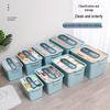 Antuobu Plastic Storage Box with Wheels, Lid, and Handle