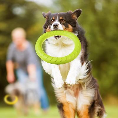 Dog Toy Training Ring Puller Puppy Flying Disk Chewing Toys Outdoor Interactive Toy Dog Game Playing Supplies Resistant for Dogs