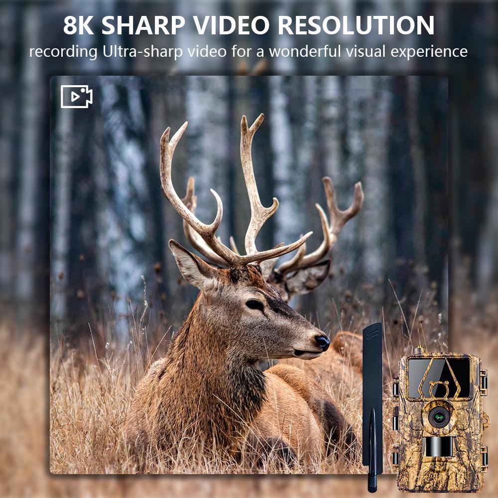 PR801LTE 4G HD Waterproof Infrared Hunting Camera with Remote Wireless Monitoring