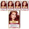 L'Oréal Paris Excellence Krémová barva na vlasy Easy Gray s aplikátorem ve tvaru hřebínku Ne. 6.54 Světlá měděná mahagonová 5 ks