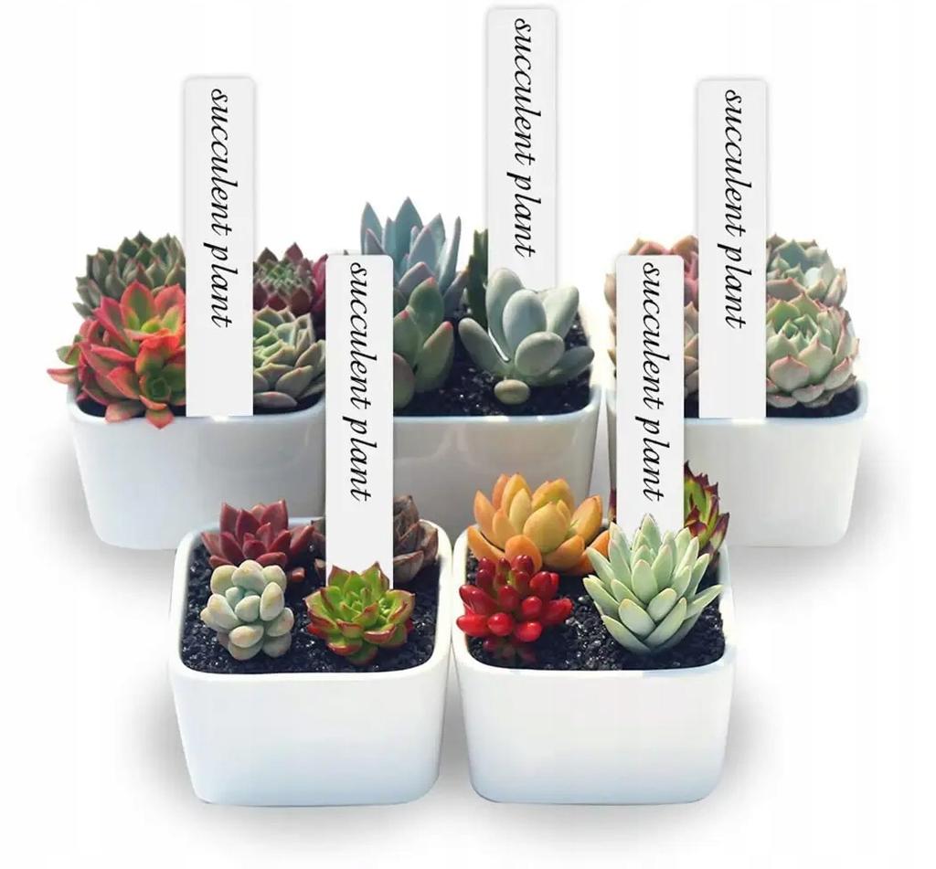 Plant Markers Plates Reusable Garden Labels 100Pcs