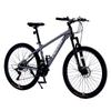 Flying Pigeon 21-Speed Aluminum Mountain Bike