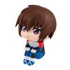 Rukappu Mobile Suit Gundam SEED FREEDOM Kira Yamato Komplettfigur