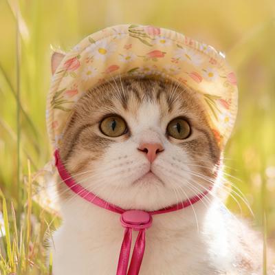 Pet Sun Hat Breathable Floral Print Wide Brim Hat with Ear Holes Adjustable Drawstring Sun UV Protection Small Dogs Cats Decorative Hat
