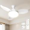 LED Ceiling Fan Light Limited Edition Triple Safety Structure High DC Quiet Stepless Dimming and Color Temperature Wall Switch Memory Timer