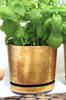 Antique Gold Pot M. 14 Cm Antique Gold
