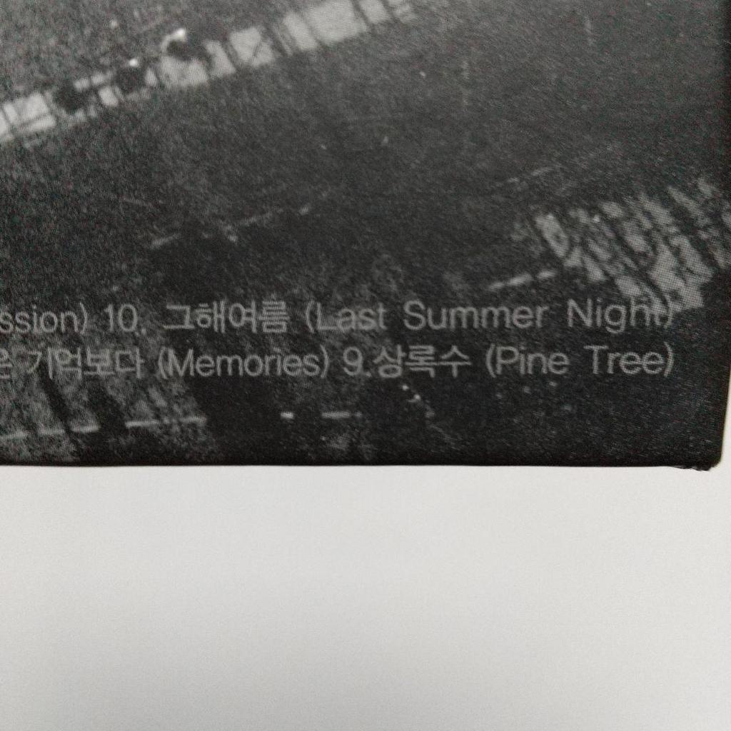 [USED] KANGTA “1ST CONCERT PINETREE”