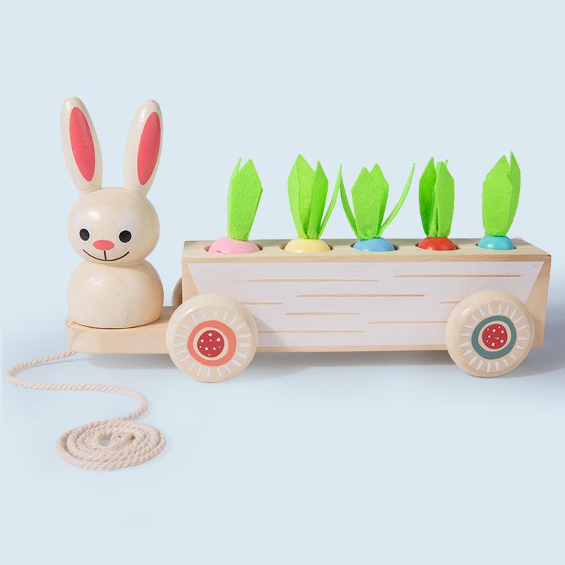 Wooden Educational Pull-Along Radish & Rabbit Fruit Matching Toy for Babies