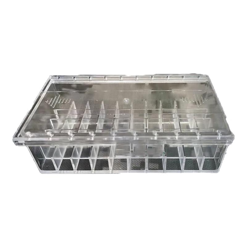 Tactical Transparent Ammo Storage Box