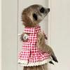 Bunny Harness Small Animal Walking Dress Strap Breathable Small Animal Clothes with Leading Rope for Training Outdoors Backyard