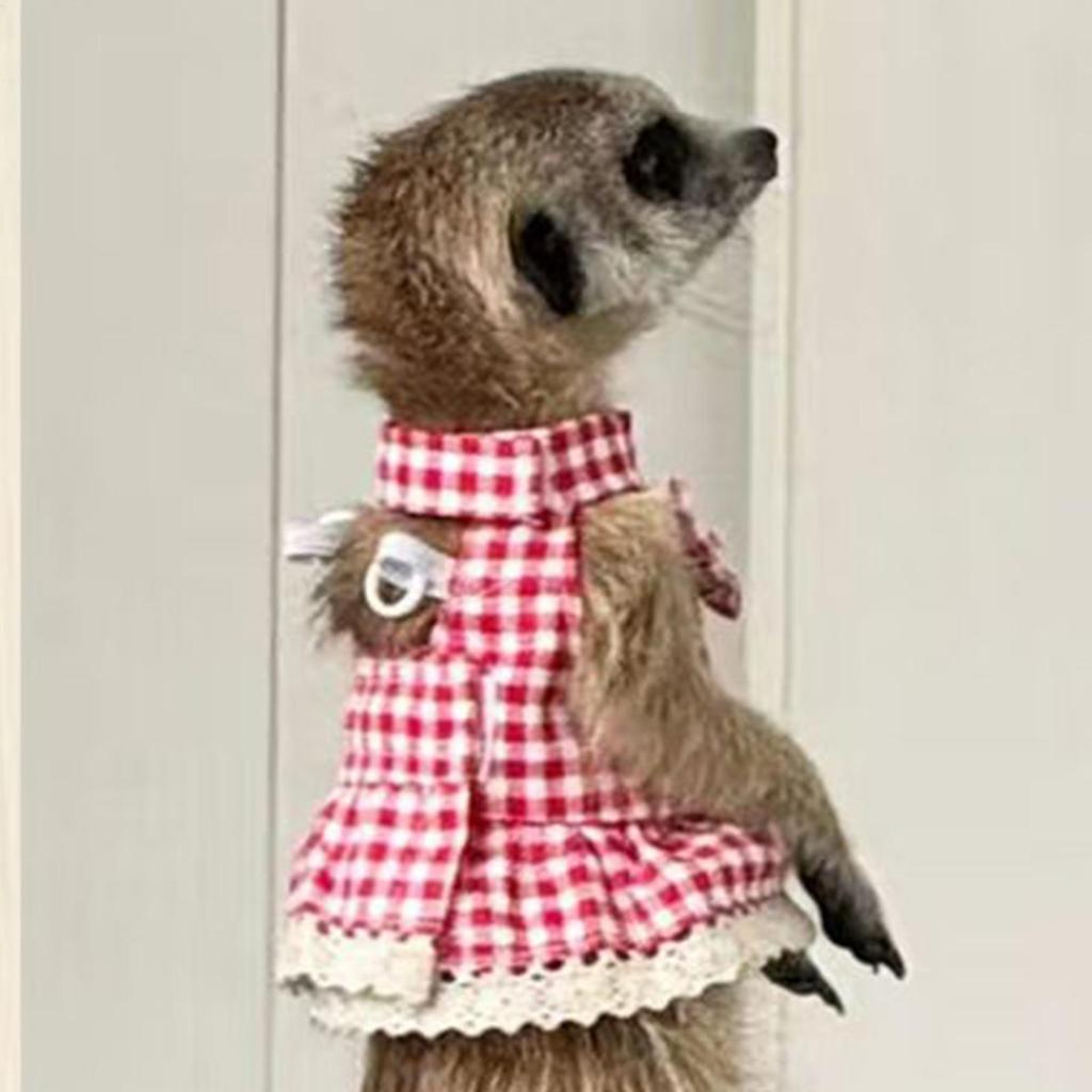 Bunny Harness Small Animal Walking Dress Strap Breathable Small Animal Clothes with Leading Rope for Training Outdoors Backyard