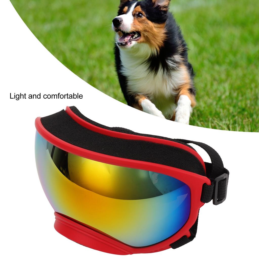 Dog Goggles Windproof Ultraviolet Proof Dustproof Strap Dog Sunglasses for Large Breed