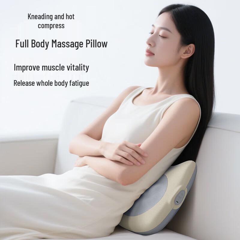 Aigo Back and Waist Massager Cushion
