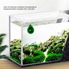 Fish Tank Thermometer Mini Small Electronic High-precision LED Hot Belt Fish Turtle Tank External Attached Aquarium Temperature Measurement