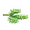 Fleshy Simulated Succulent Flocking Home Plant Flower Head