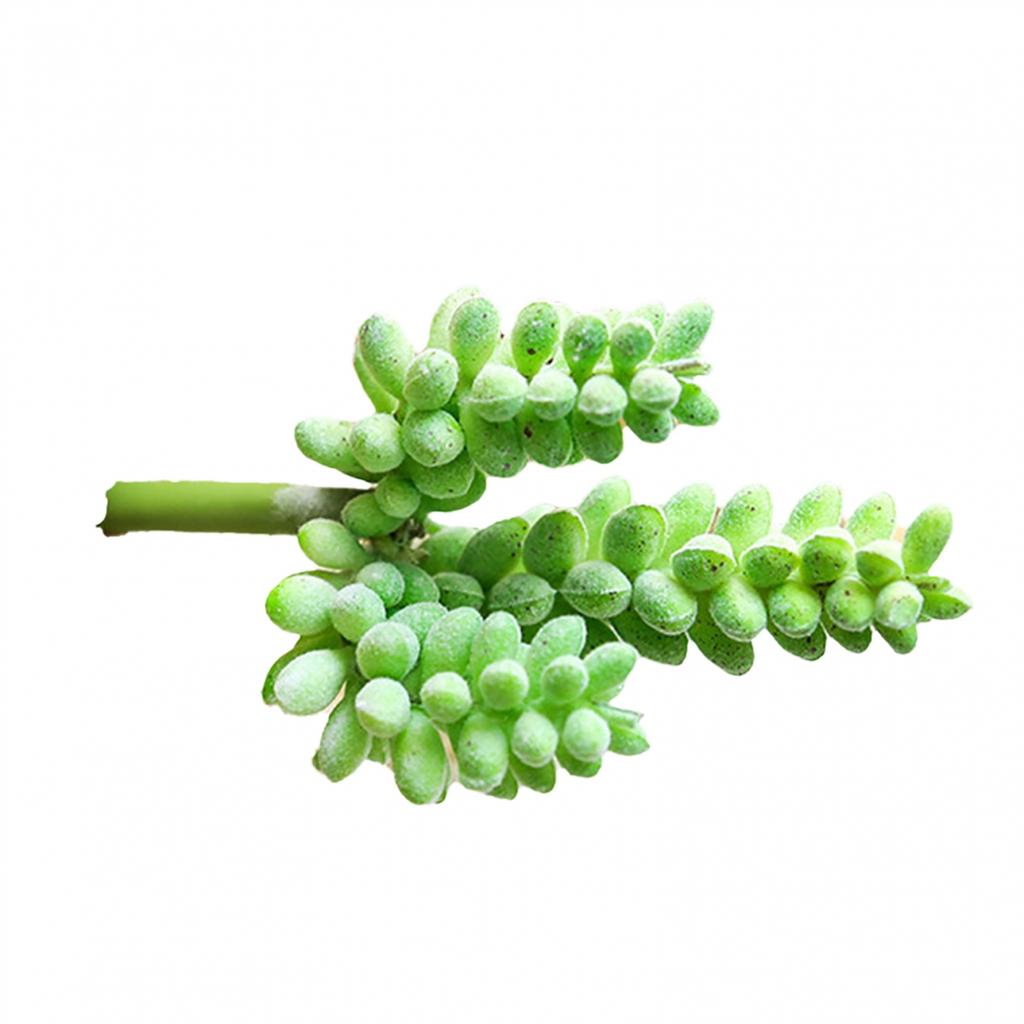 Fleshy Simulated Succulent Flocking Home Plant Flower Head