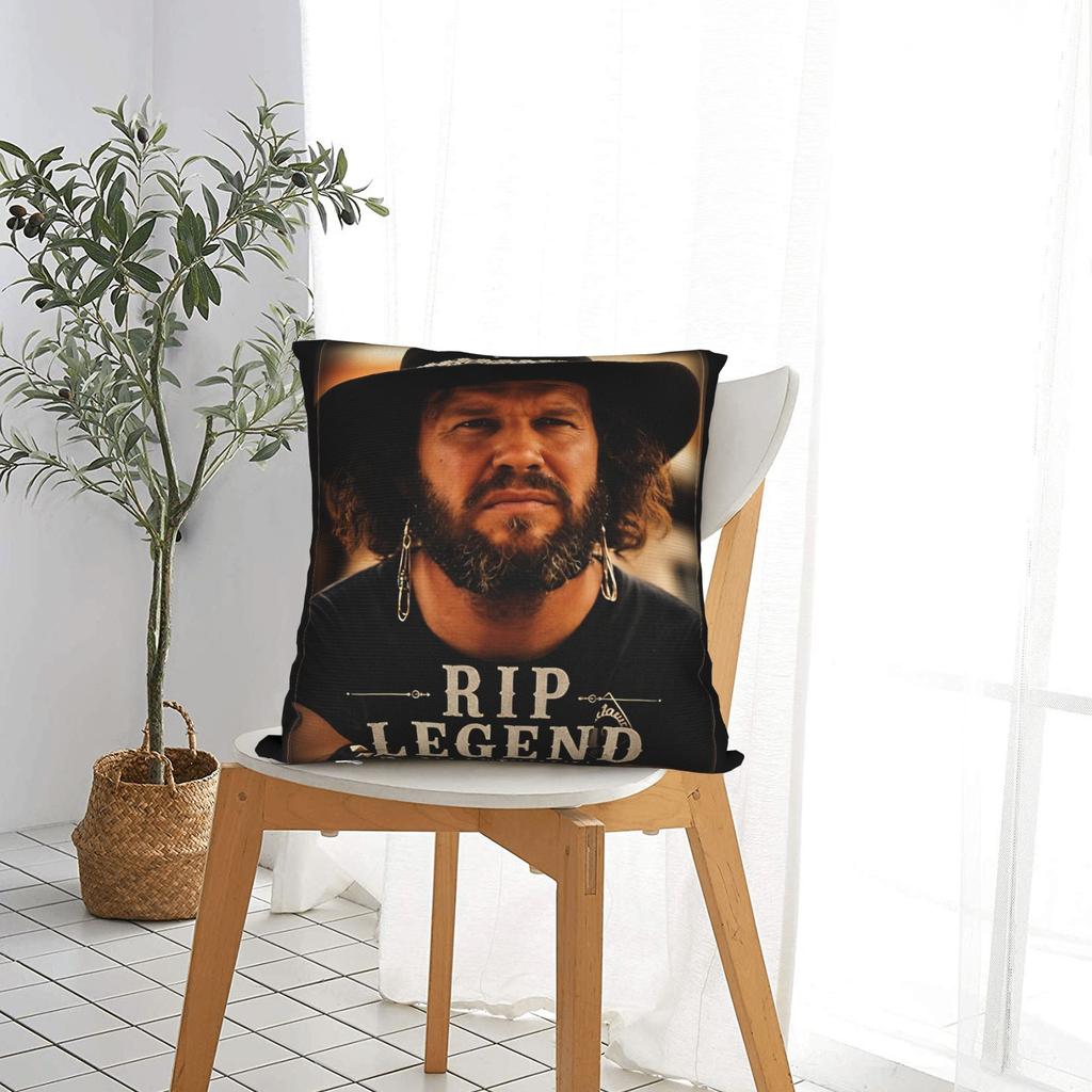In Memory Of David Allan Coe 1939- Pillowcases Retro Portrait Tribute Pillow Case For Office Car Home Decor Pillow Cover
