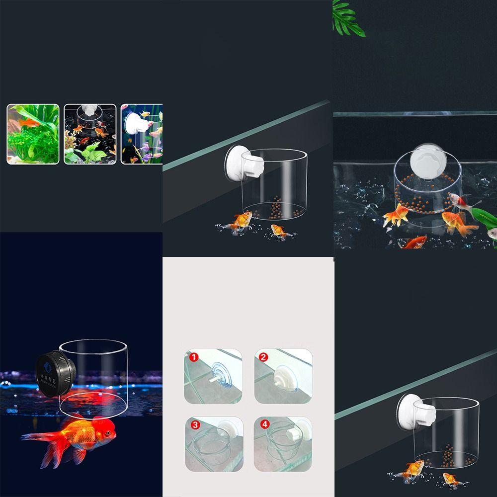 Acrylic Fish Tank Feeder Wall-Mounted Aquarium Food Ring New Aquarium Feeding Ring For Fish Tank
