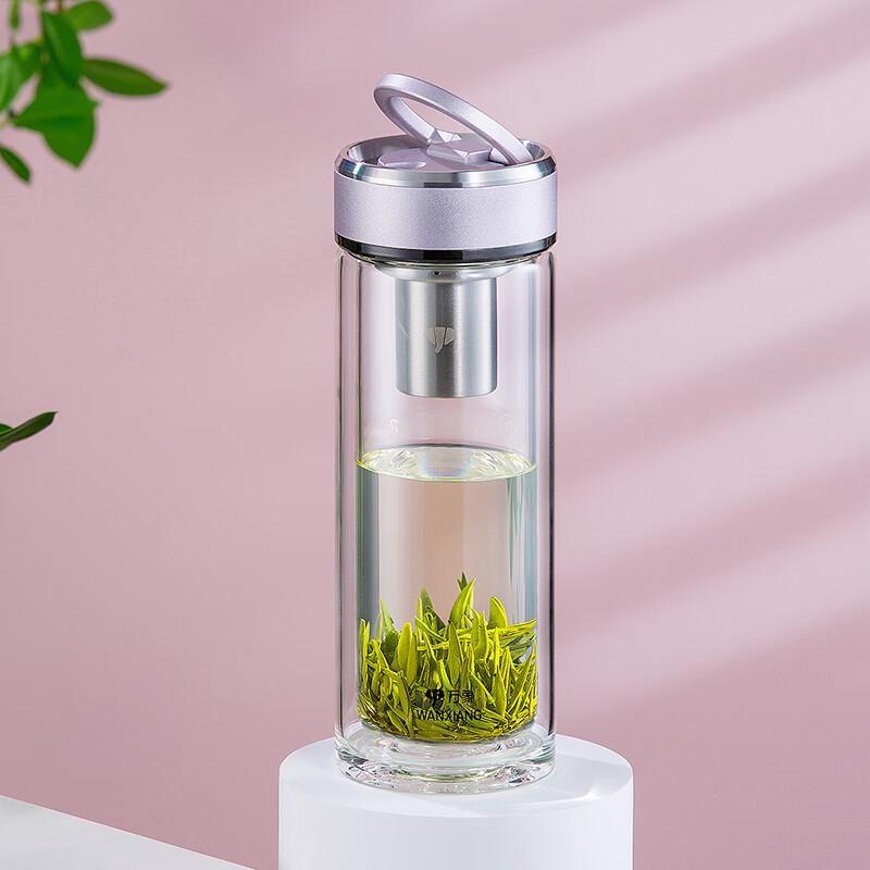 Double-Layer Glass Travel Tea Infuser Bottle
