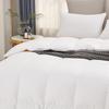 Jieliya White Goose Down Comforter