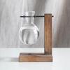 Creative Wooden Frame Hydroponic Vase with Glass Container for Desktop Decoration