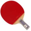 DHS Table Tennis Racket - TB6 Professional Short Handle